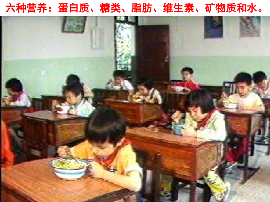 教科版小学科学四级下册食物中的营养.pptx_第2页