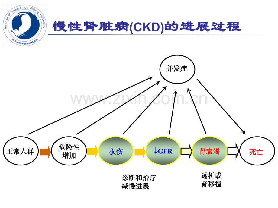 慢性肾脏病治疗与监测.pptx_第2页