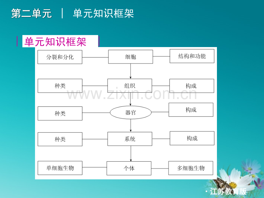 备用中考生物一轮复习.pptx_第3页