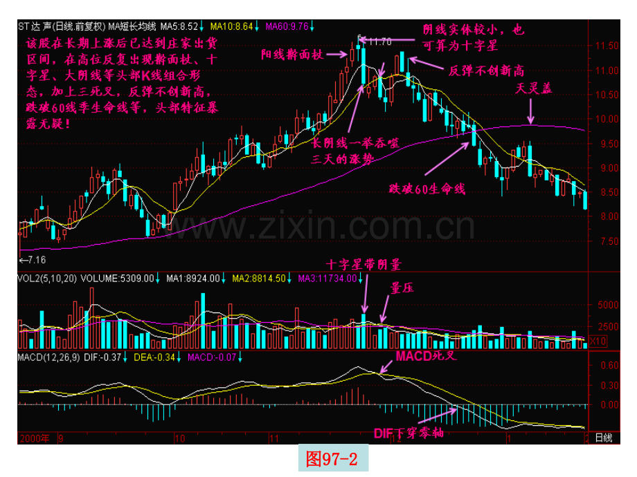 擀面杖形成的头部.pptx_第3页