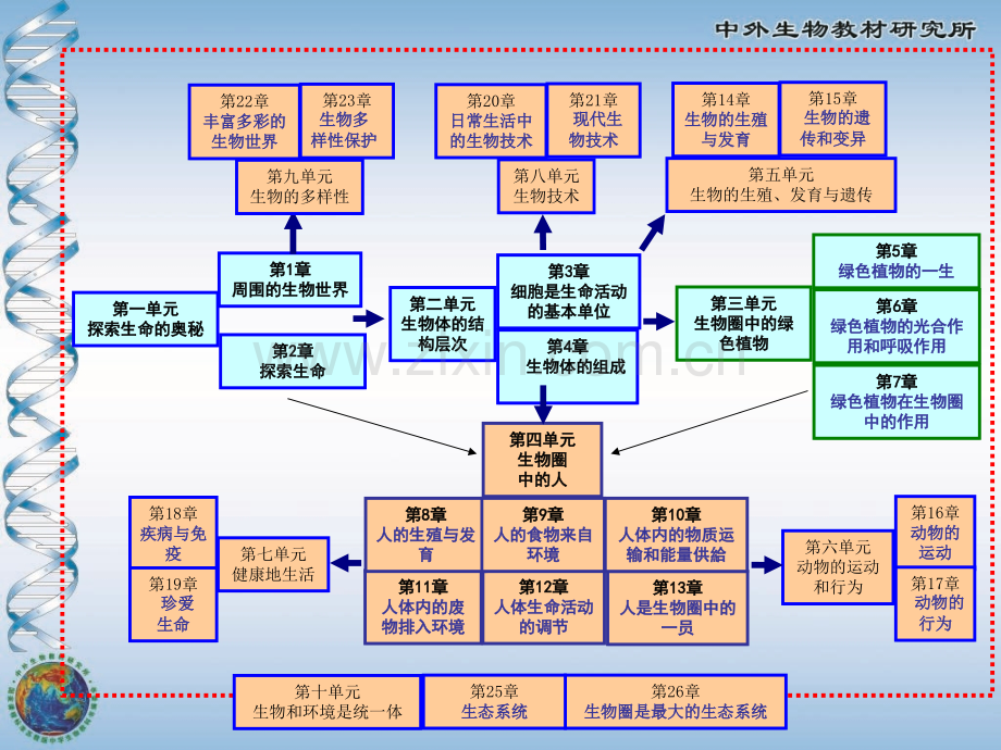 初中生物七年级上册教材分析.pptx_第3页