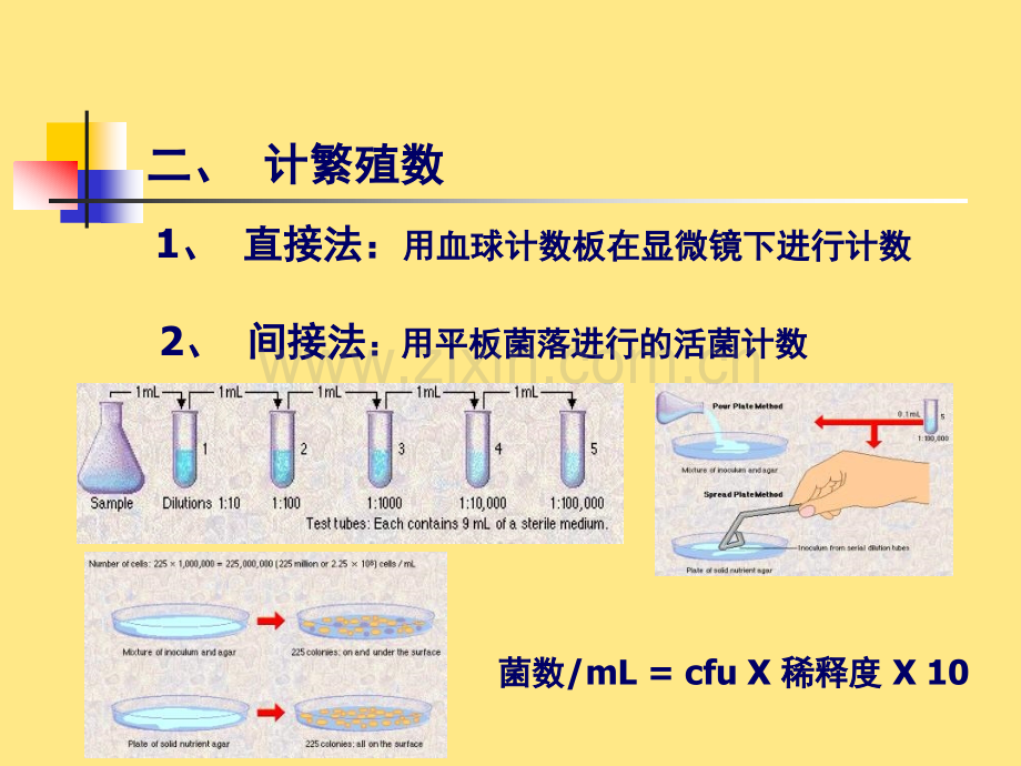 微生物学格式微生物生长及控制.pptx_第3页