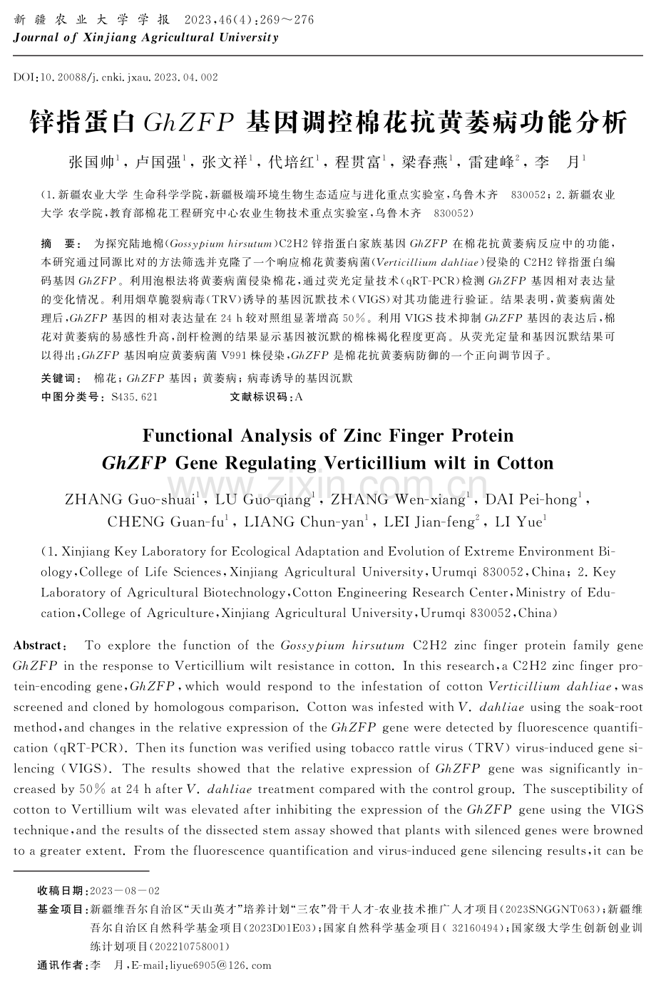 锌指蛋白GhZFP基因调控棉花抗黄萎病功能分析.pdf_第1页