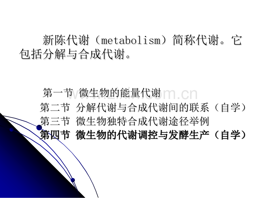 微生物代谢28页文档.pptx_第2页