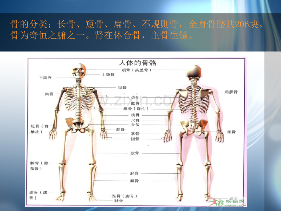 创伤骨折病人的搬运与体位护理.pptx_第2页