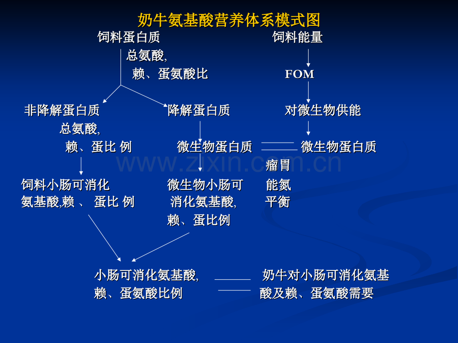 奶牛氨基酸体系.pptx_第2页