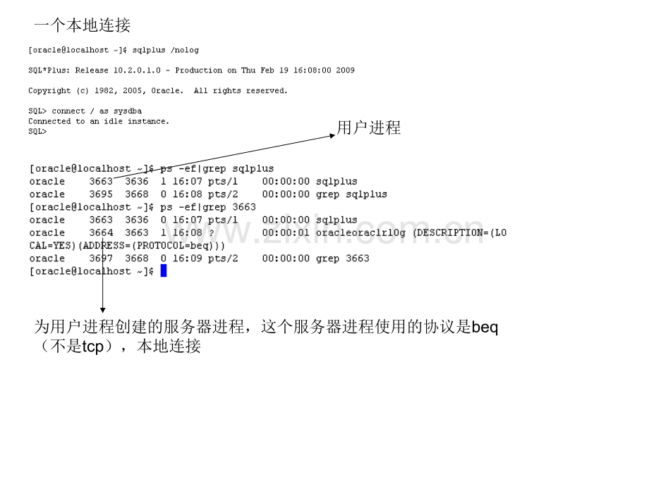 内存组件与Oracle进程.pptx_第3页