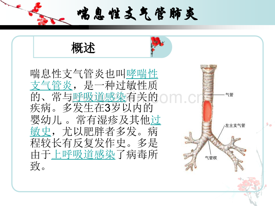 小儿支气管肺炎的护理.pptx_第1页