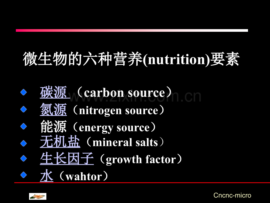 微生物的营养1.pptx_第2页