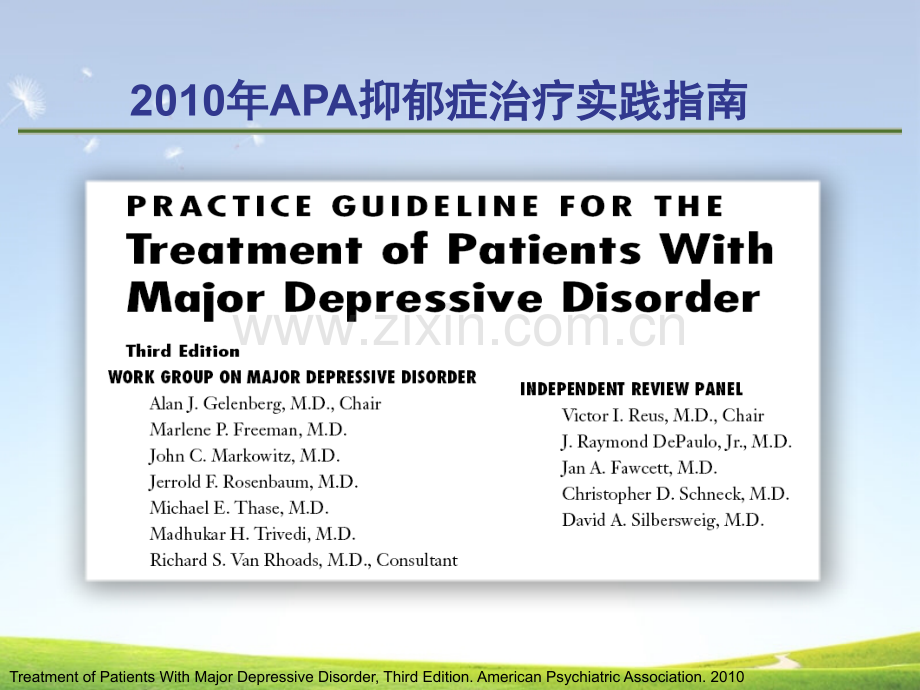 抑郁症临床处理热点解读.pptx_第3页