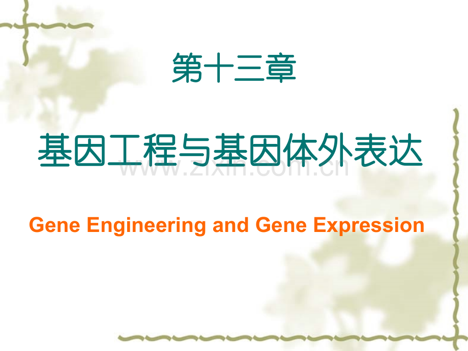 分子生物学基因工程与基因体外表达.pptx_第2页