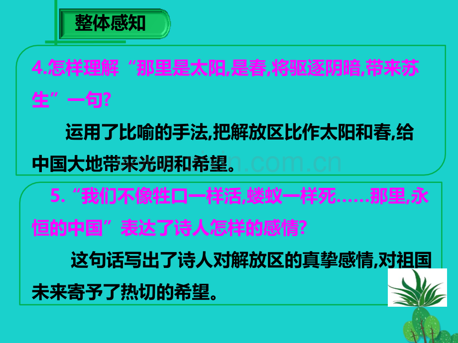 学九级语文下册我用残损的手掌2新版新人教版.pptx_第3页