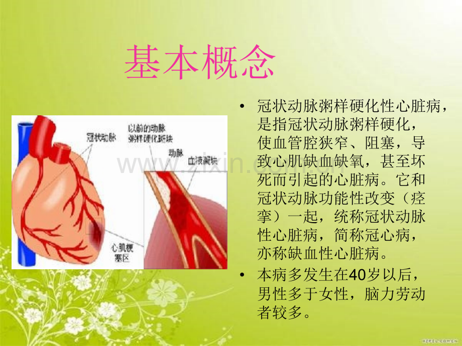 冠心病护理查房吴.pptx_第2页