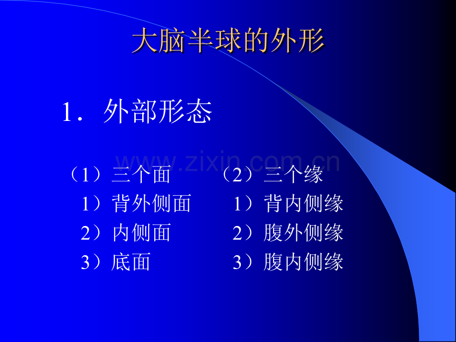 大脑解剖生理及定位诊断医学.pptx_第2页