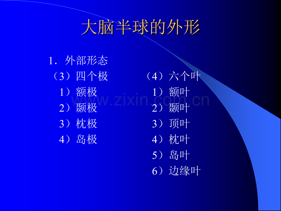 大脑解剖生理及定位诊断医学.pptx_第3页