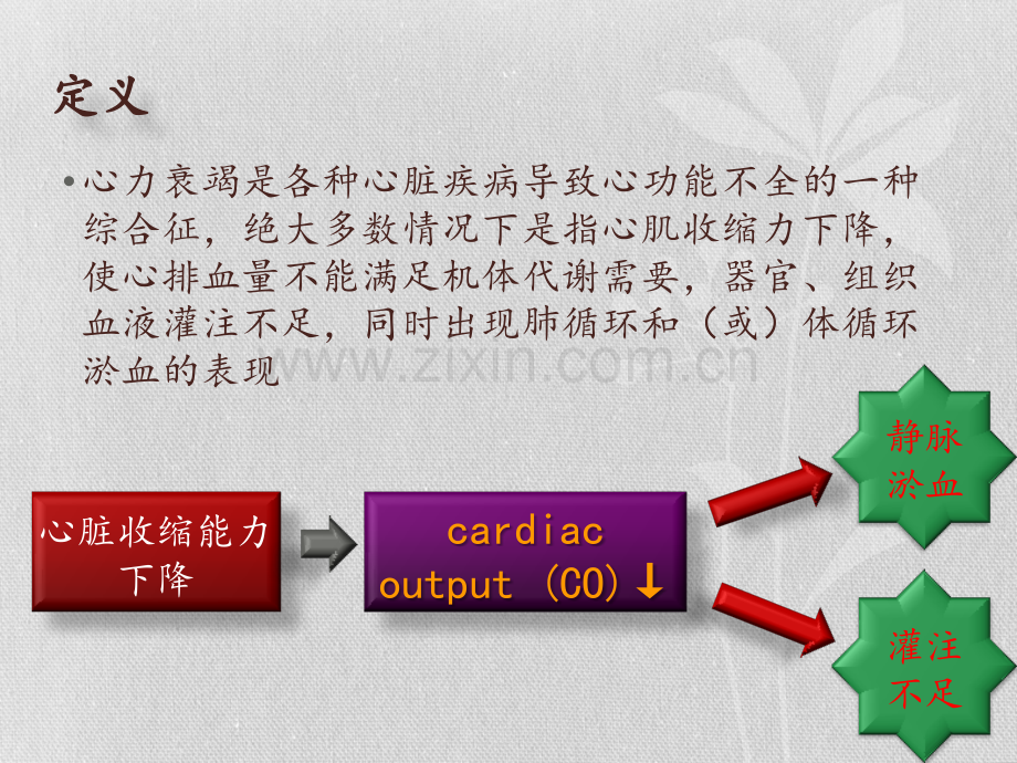 慢性心力衰竭的病理生理机制及治疗.pptx_第3页