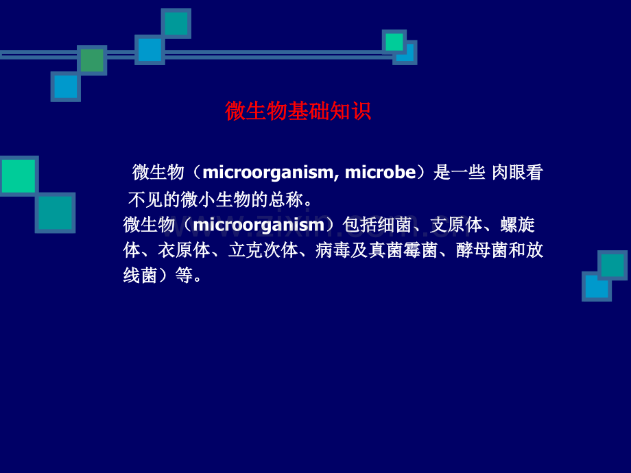 制药用水微生物检查方法的验证.pptx_第3页