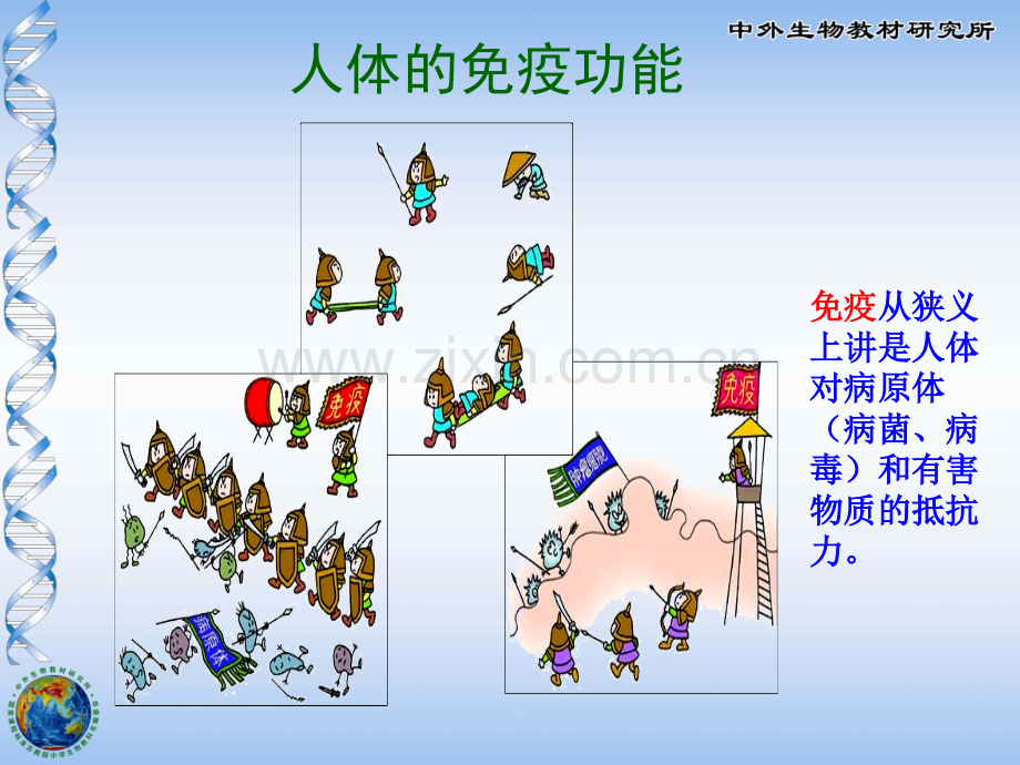 八年级生物25章免疫.pptx_第2页