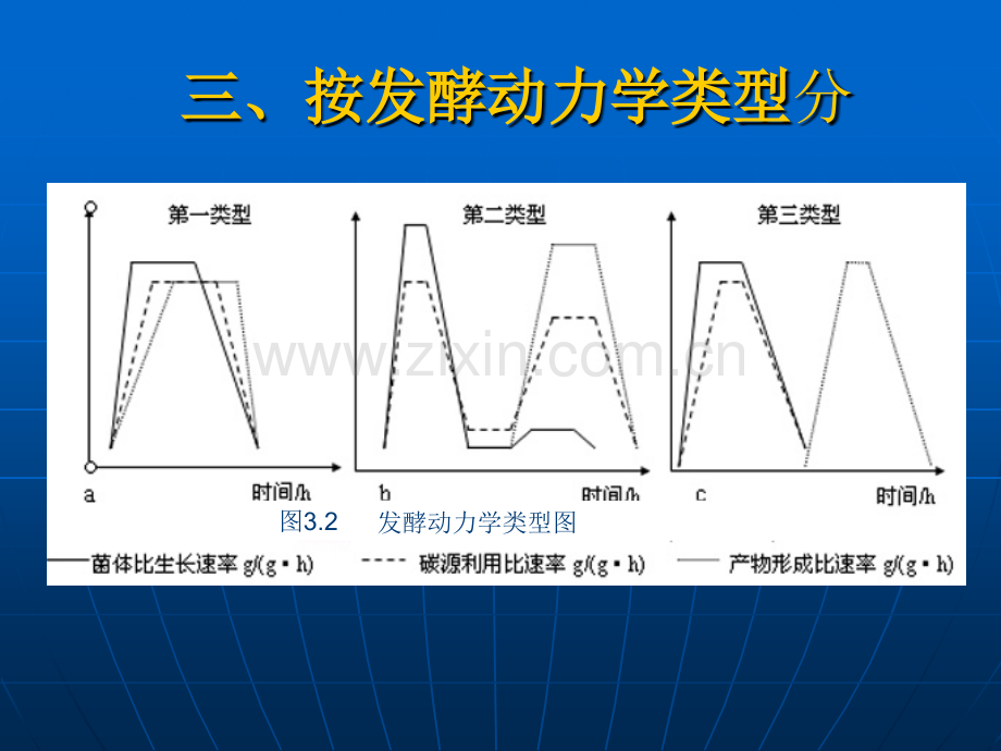 微生物发酵工程概述.pptx_第3页