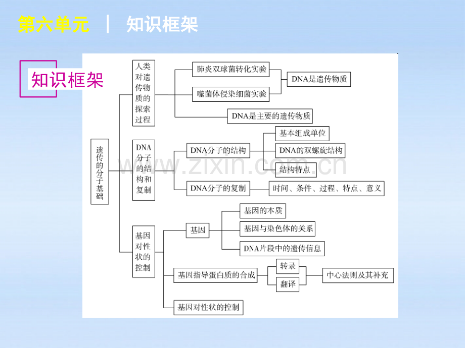 广东省高考生物一轮复习NA是主要的遗传物质.pptx_第2页