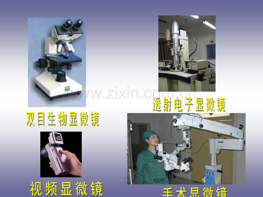 初中物理八年级科学探究凸透镜成像.pptx_第3页