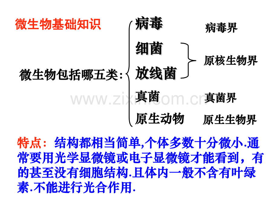 微生物的实验室培养课件.pptx_第2页