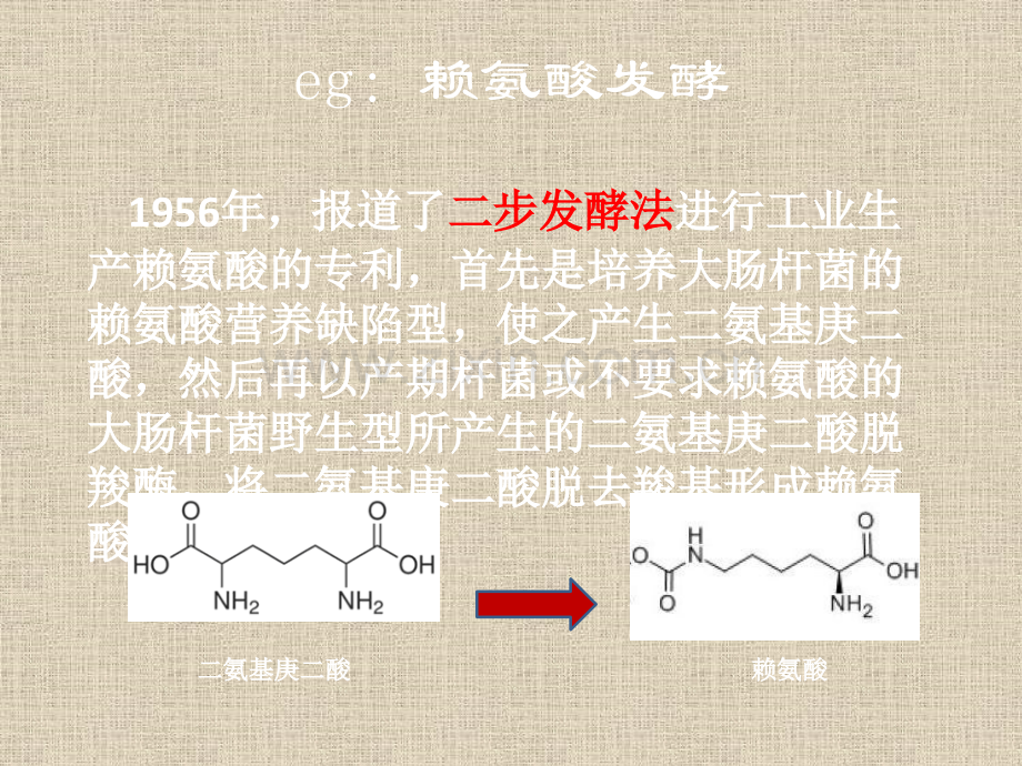 微生物代谢调控.pptx_第3页