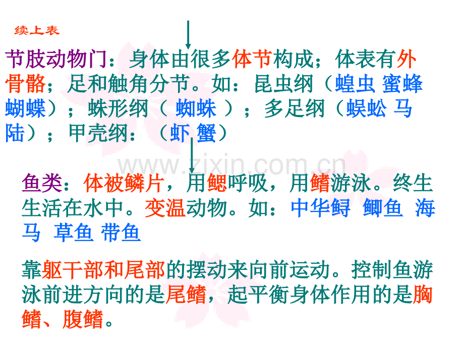 八年级生物上册总复习人教版12.pptx_第3页