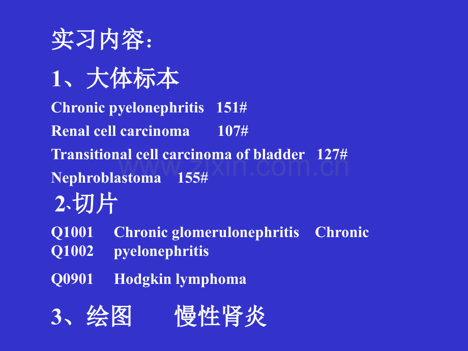 淋巴造血泌尿系统疾病实习.pptx_第3页