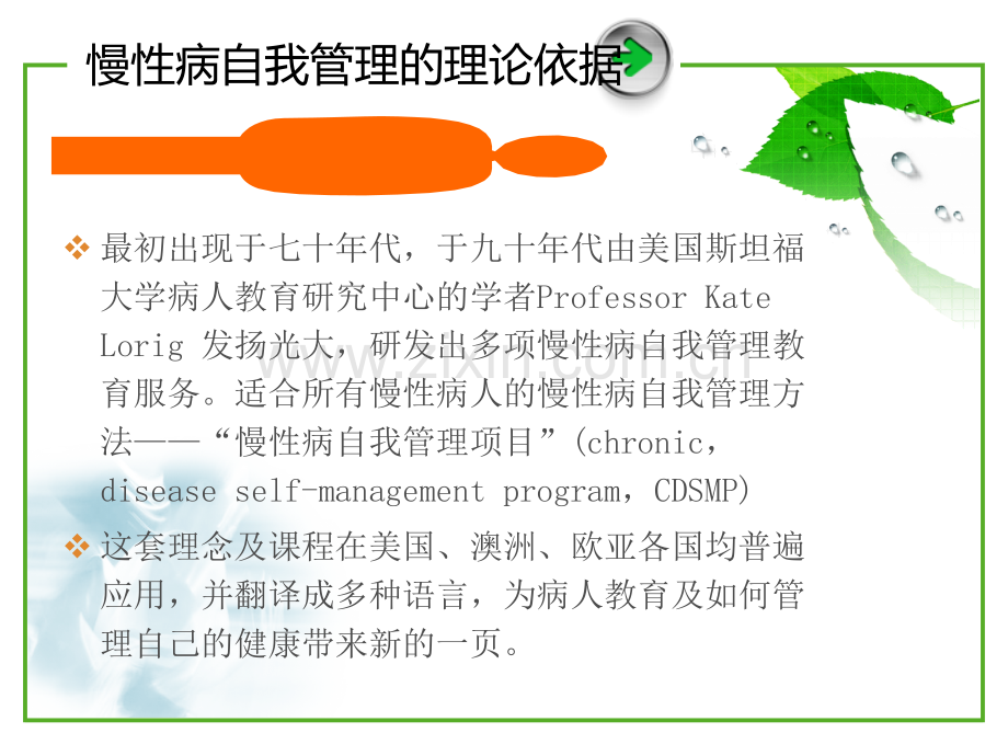 慢病患者的自我管理.pptx_第3页