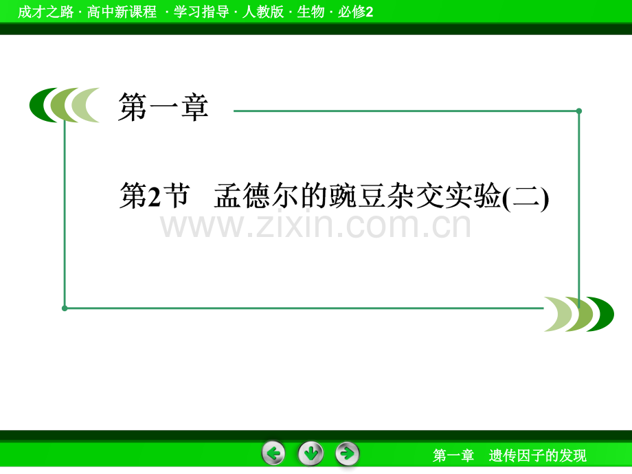 成才之路高一生物人教版必修孟德尔的豌豆杂交实验二.pptx_第3页