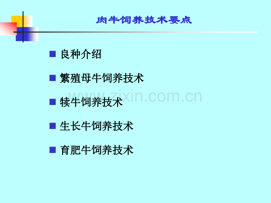 农训24肉牛饲养技术.pptx_第2页