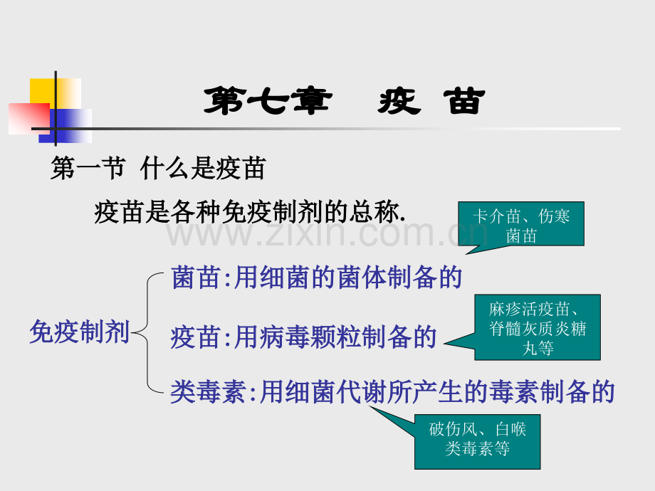 微生物与人类健康疫苗.pptx_第1页