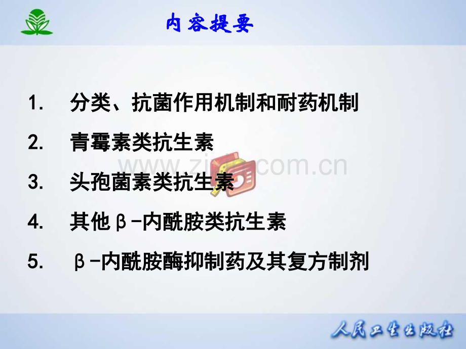 常见疾病治疗药物简介——第三十九篇β内酰胺类抗生素.pptx_第2页