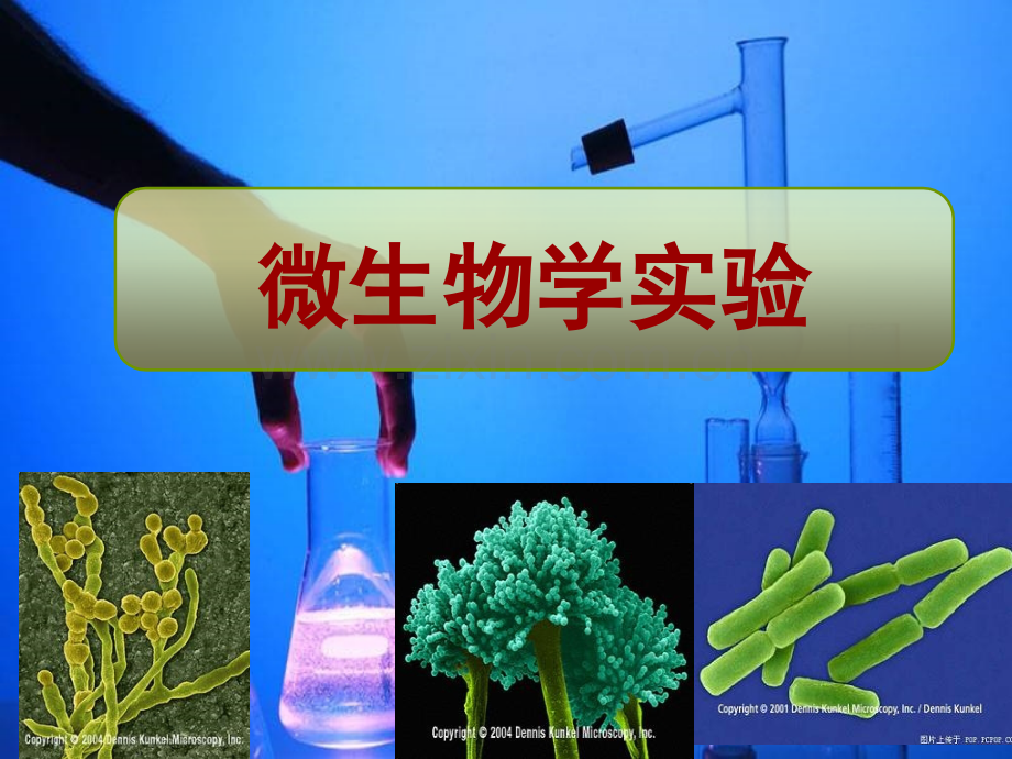 微生物实验实验一培养基的配制和灭菌法.pptx_第1页