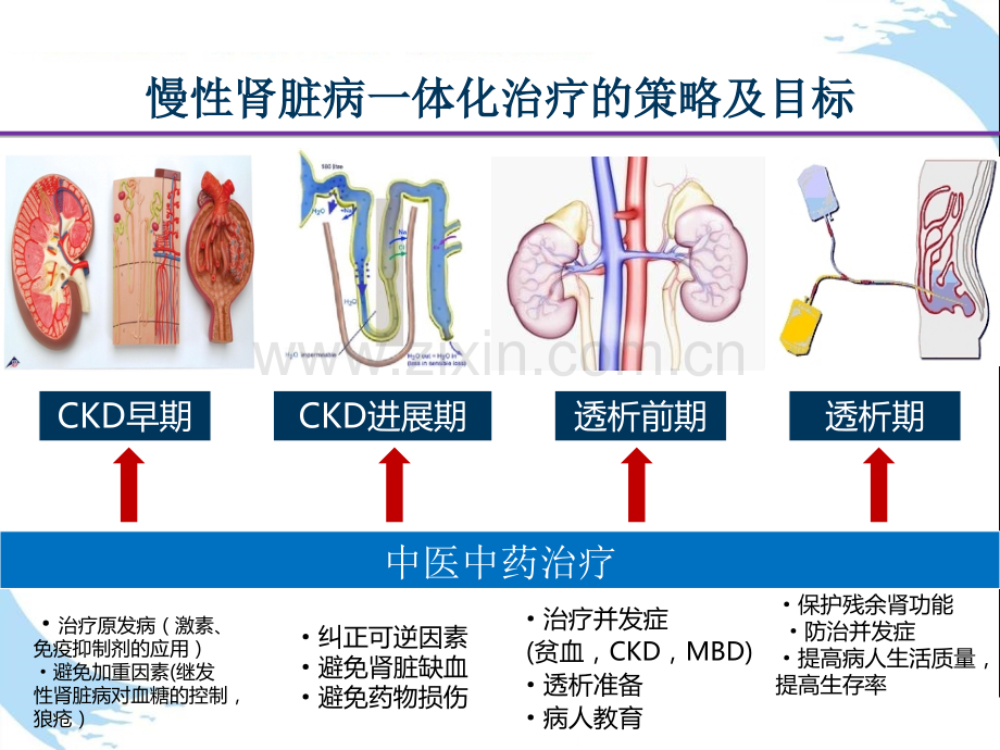 慢性肾衰竭CKD中西医结合治疗方案的优化.pptx_第3页