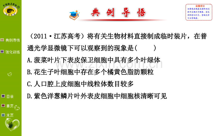 实验3用高倍显微镜观察叶绿体和线粒体.pptx_第3页