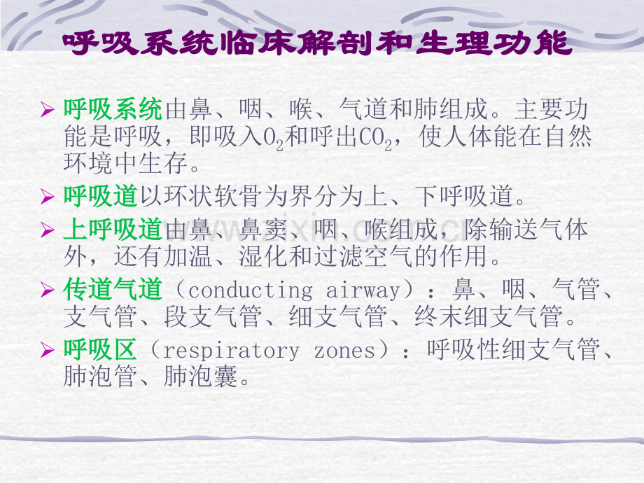 呼吸系统应用解剖和生理-文字很重要.pptx_第2页