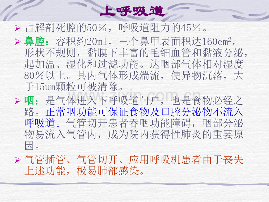 呼吸系统应用解剖和生理-文字很重要.pptx_第3页