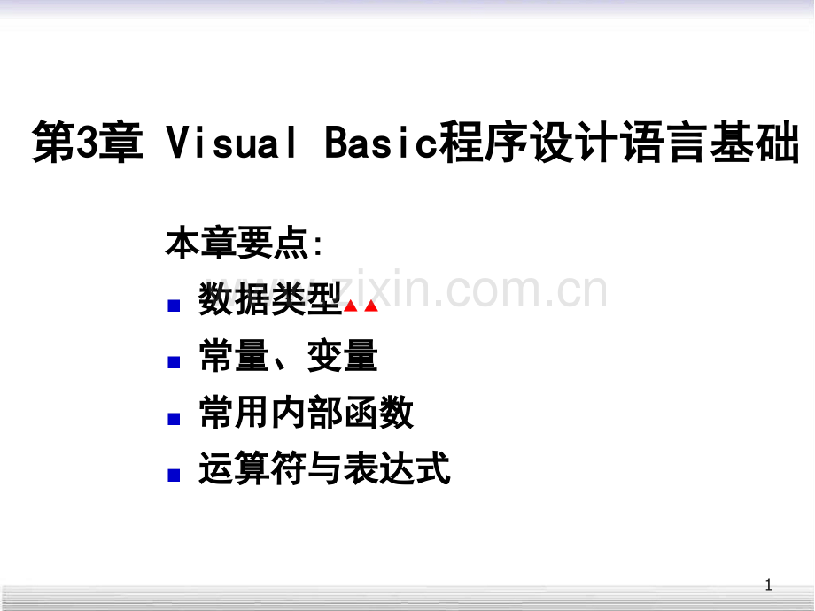 复习--VB程序设计语言基础.pptx_第1页