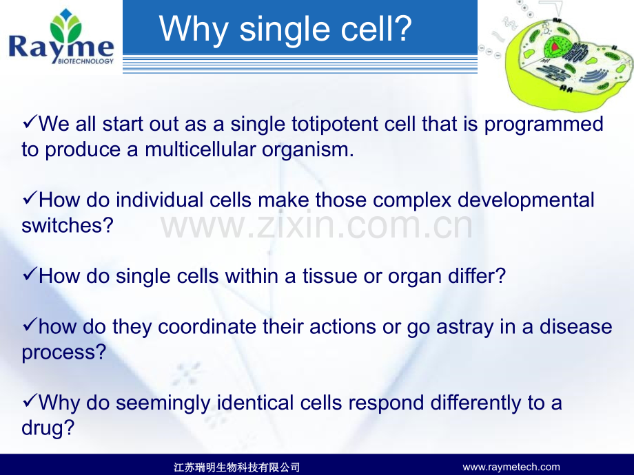 单细胞光纳米光电检技术简介.pptx_第3页