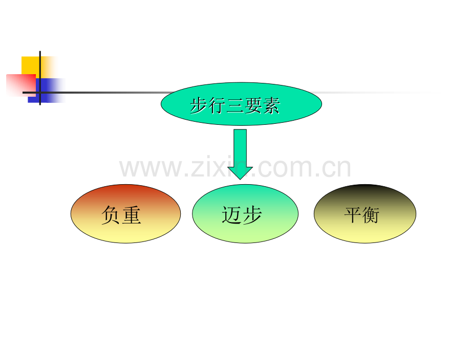 年偏瘫步态分析及训练.pptx_第2页