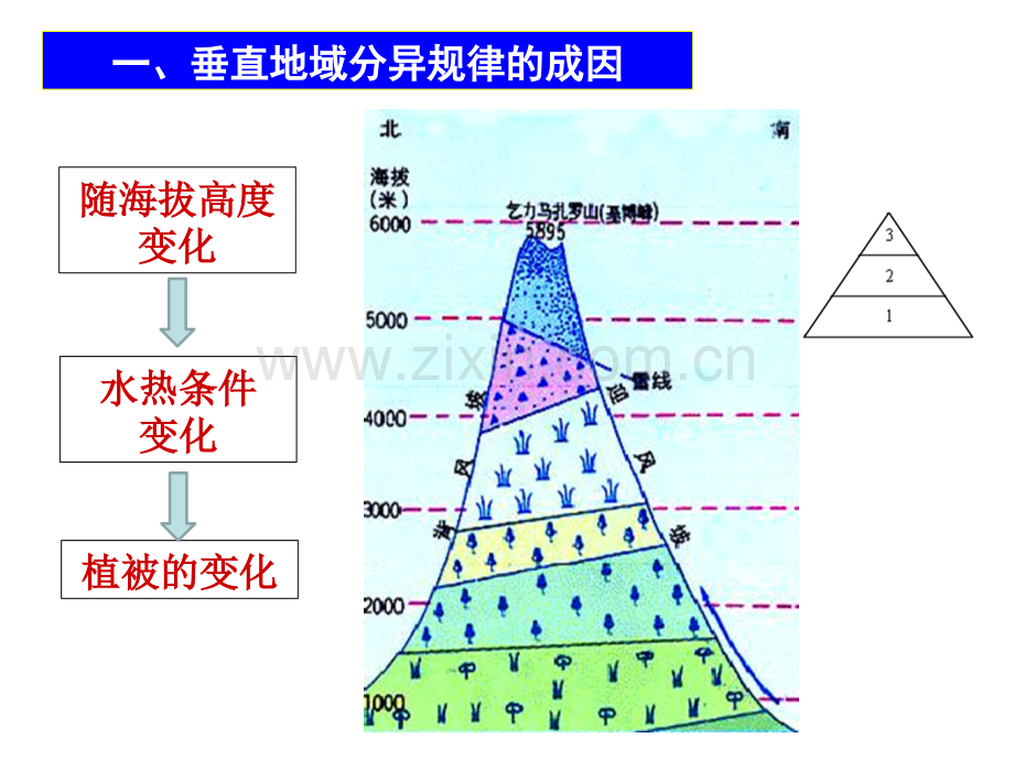 微专题垂直自然带雪线与林线.pptx_第3页