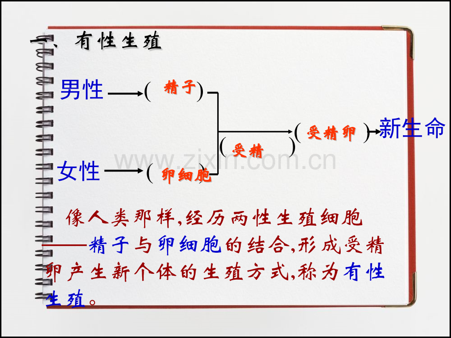 动物的生长时期时.pptx_第1页