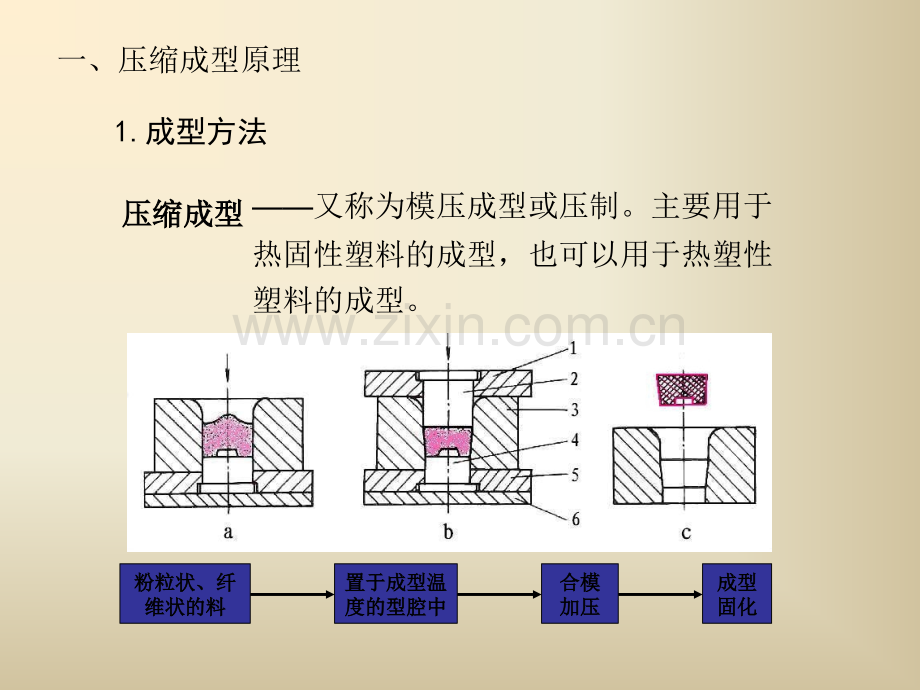 压缩成型工艺及模具设计.pptx_第2页