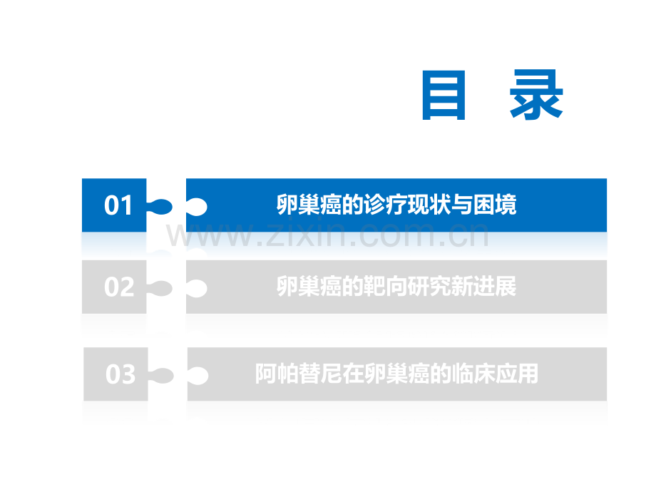 卵巢癌的靶向治疗新进展.pptx_第2页