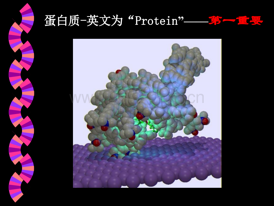 刘老师第三章蛋白质化学1-3节.pptx_第3页