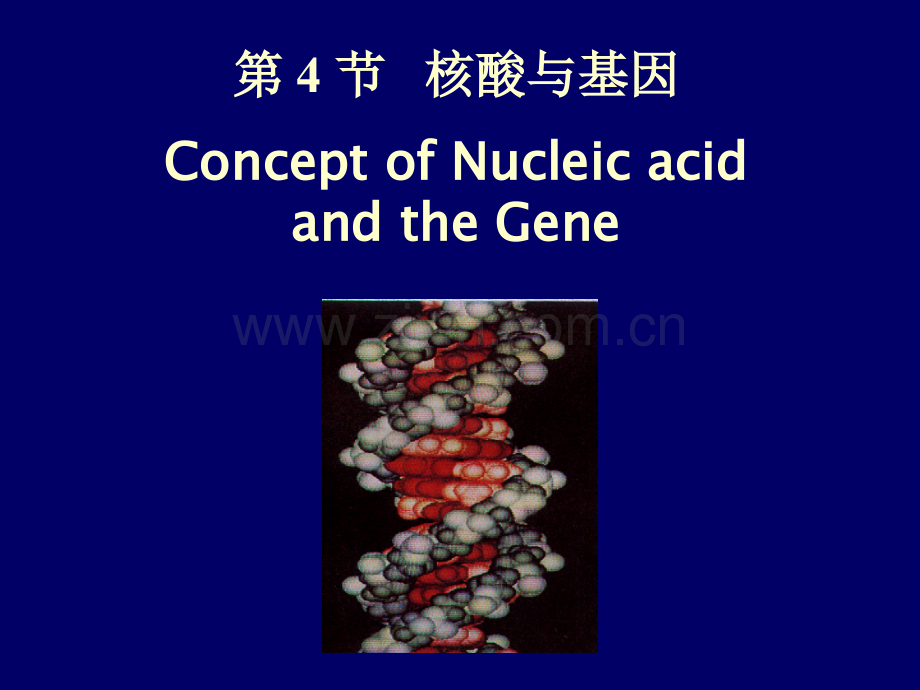 南京农业大学生物化学7.pptx_第1页