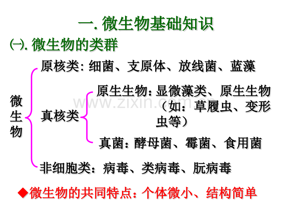 微生物的培养.pptx_第3页