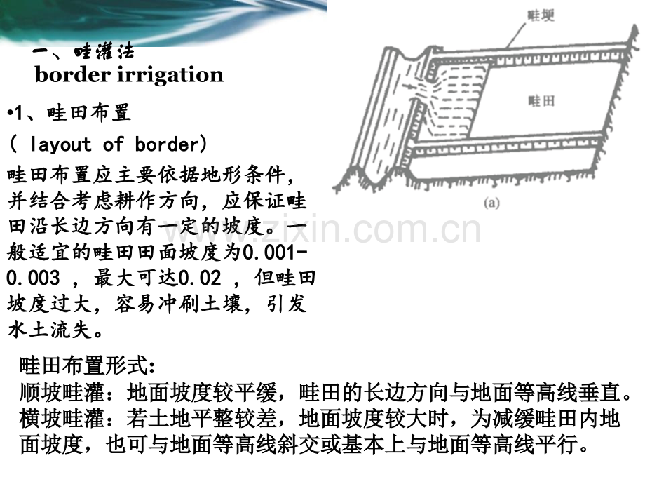 其他灌水技术分析.pptx_第3页